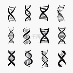 Dna 不同的图标集，一种分子，它携带在白色背景上孤立的矢量图上表示的遗传指令。