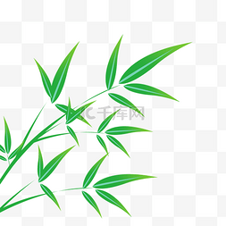 竹叶绿叶