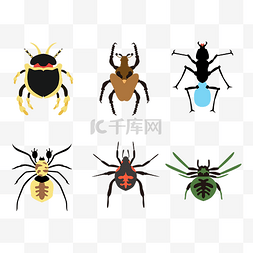 动物蚂蚁图片_昆虫虫子套图