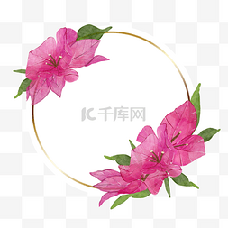粉色花圈边框图片_九重葛水彩花卉边框