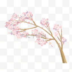 樱花树水彩春天粉色