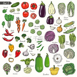 彩色蔬菜素描风格的大集