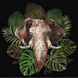 卡通象头图片_象的头和棕榈叶。 刺绣印度丛林