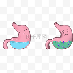 慢性胃炎图片_肠胃胃病胃炎人体内脏器官医疗健