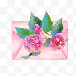 花卉矢量唯美图片_信封水彩花卉植物唯美粉色