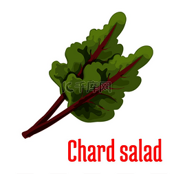 产品标签图片_沙拉植物图标孤立的多叶蔬菜绿色