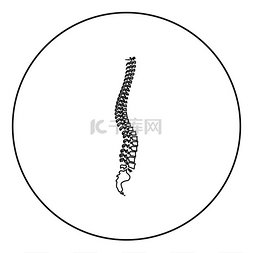 骨干图片_圆形轮廓矢量图中的脊柱图标黑色