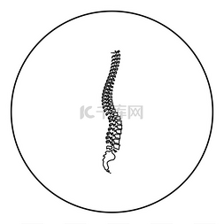 整形图片_圆形轮廓矢量图中的脊柱图标黑色