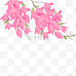 梅花花瓣边框图片_九重葛水彩花卉粉色花