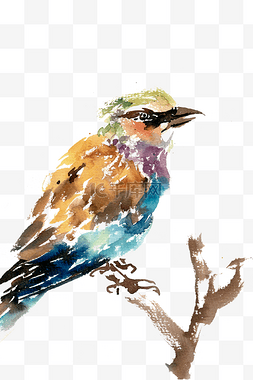 树枝彩色水墨画图片_彩色羽毛的小鸟