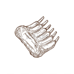 骨头手绘图片_肉肋排是切好的牛肉在骨头上的单