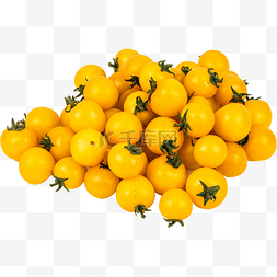 黄色西红柿图片_黄色西红柿水果