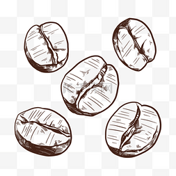 五颗线稿方式咖啡豆