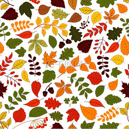 树图片_秋天的落叶、秋树的树枝、橡子、