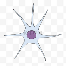 神经病学星状神经元插画