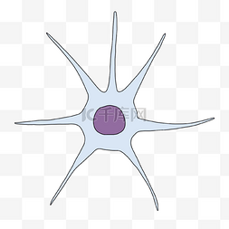 星状图片_神经病学星状神经元插画