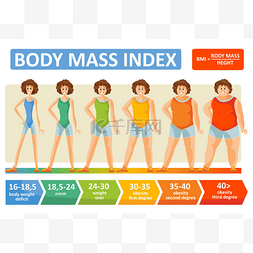 肥胖与苗条图片_身体质量指数妇女年龄向量扁平图