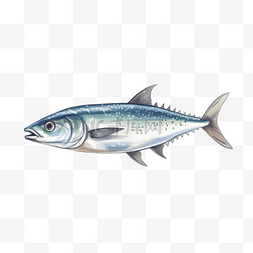鱼卡通手绘图片_卡通手绘水产海鲜鱼