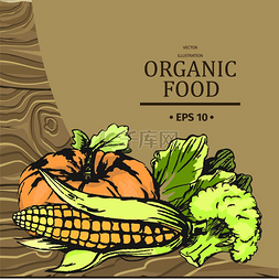 各种蔬菜图片_有机食品图形矢量广告与新鲜蔬菜