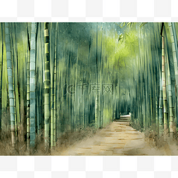绿色树竹图片_夏季的竹林