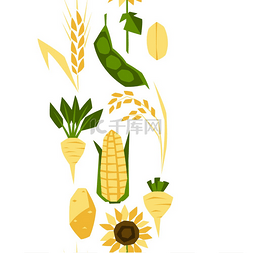 玉米小麦图片_与农作物的无缝模式。