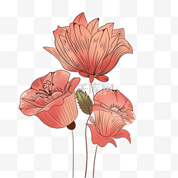 复古花朵线稿图片_花卉植物抽象粉色渐变花朵线稿