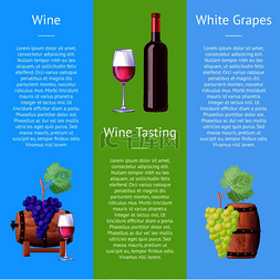 水果和酒图片_品酒白葡萄矢量插画海报设计与木