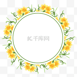 水彩水仙花卉圆形边框