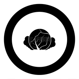 拉头图标图片_圆圈矢量图中的卷心菜图标黑色