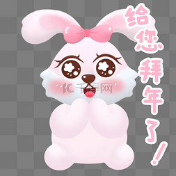 兔年表情图片_兔年新春兔子给您拜年了表情包