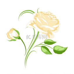 现实的玫瑰图片_与黄玫瑰的装饰元素。