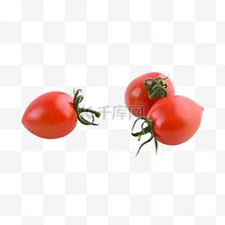 樱桃番茄植物多汁红色