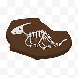 卡通恐龙骨架化石剪贴画