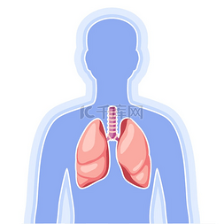 医学呼吸图标图片_与肺内部器官的例证。