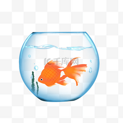 鱼缸游动橙红金鱼剪贴画