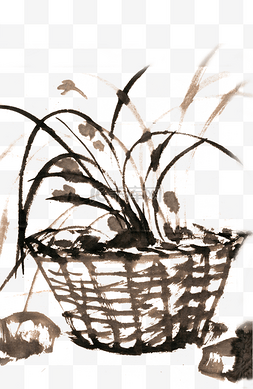 篮子中的兰草水墨植物
