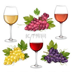 不同品种的葡萄和葡萄酒的眼镜