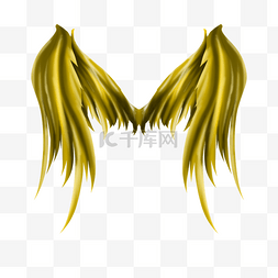 金色翅膀图片_柔顺羽毛金色的翅膀