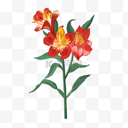 水彩手绘花卉背景图片_红色的水彩花卉百合