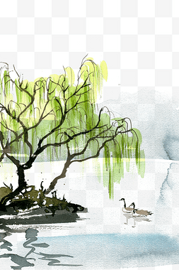 春意盎然的背景图片_岸边的柳树