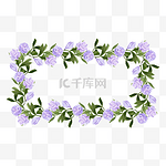 花卉紫色花朵边框