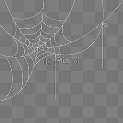 蜘蛛网1图片_白色蜘蛛网