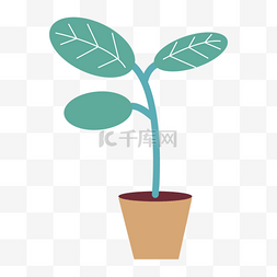 植物盆叶子装饰图片绿色图画
