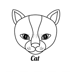 卡通可爱猫手绘图片_动物设计