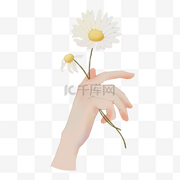 手绘春天植物花朵图片_春天植物花朵手拿小雏菊