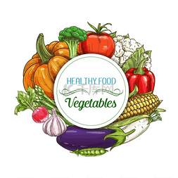 农场食品和花园蔬菜的新鲜蔬菜矢