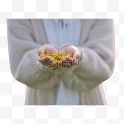 春天女生手捧油菜花