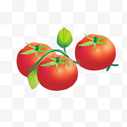 夏季养生西红柿