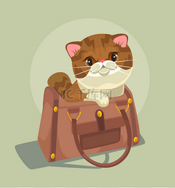 卡通小猫手绘插画图片_坐在女士包的小猫性格。矢量平面