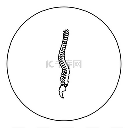 脊柱解剖图片_脊柱脊柱图标圆形黑色矢量插图图